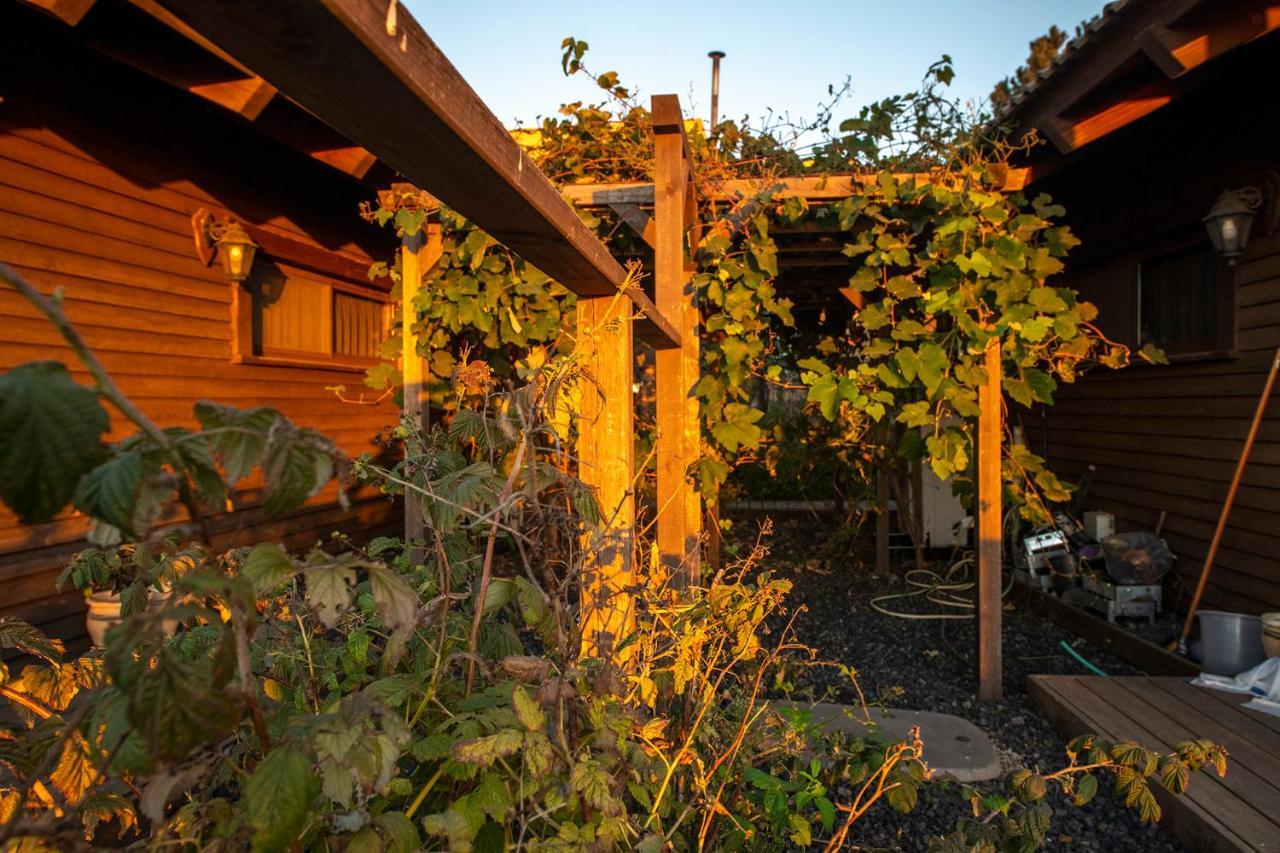 Gilad Cabins Odem Eksteriør billede